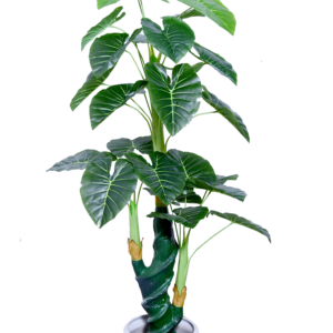 Kaykon 5 Ft Big Artificial Money Plant Tree Indoor Plant Home Decorative Plant