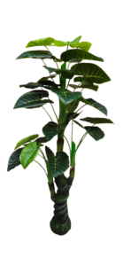 big 5feet artificial money plant tree