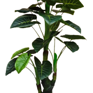 KOONIV 5 feet Artificial Money Plant Green Tree – Natural Looking Bonsai Artificial Plant with Pot  (150 cm, Green)