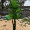 6 feet big artificial areca palm tree
