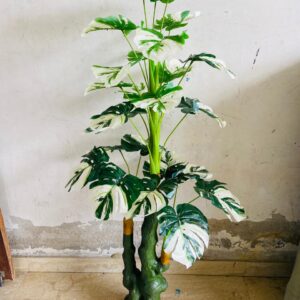 KAYKON Big 5 Feet Artificial Plant White Money Plant Tree For Home Decor | Office | Hotel | Luxury Farmhouse | House warming gift – Without Vase