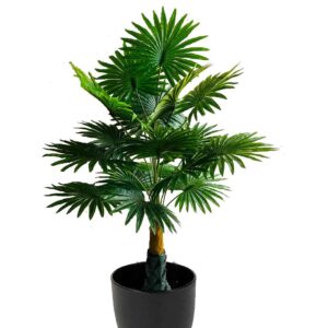 KAYKON Artificial 3 Feet Panja Palm Tree | Indoor/Outdoor Trees for Home, Office Decor