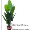 KAYKON Large Imported Artificial Banana Plant Birds of Paradise Plant Without Pot for Luxury Home Office Hotel Decor - 1.8 M/6 Feet - Image 4