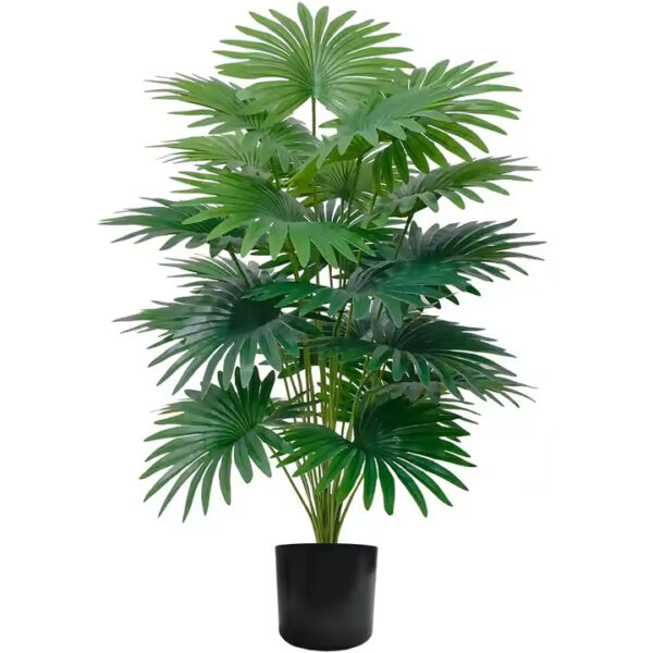 21 patta palm bunch