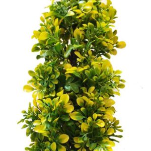 KAYKON Artificial Green Bonsai Plant with Wooden Pot – 14 Inch/35 cm