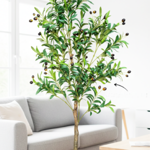 KAYKON 5 Feet Imported Artificial Olive Plant Tree Without Vase For Luxury Decor and Hosuewarming Gift – Premium Collection