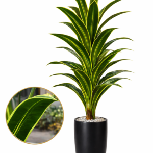 Kaykon 6 Feet Artificial Dracaena Plant Tree Without Vase For Home Decor Hotel Decor and Housewarming Gift
