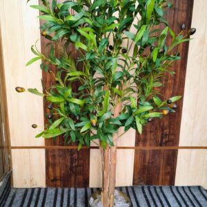 KAYKON Imported Artificial Olive Plant With Real Wooden Trunk Without Vase – 4 Feet Premium Collection